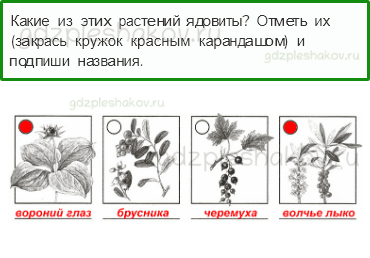 Проверочные работы – Проверочная работа по материалу 2 класса (стр. 6) – Вариант 2 – 6 - 0