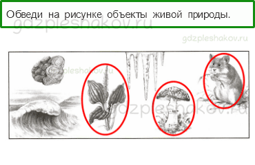 Проверочные работы – Проверочная работа по материалу 2 класса (стр. 9) – Вариант 4 – 1 - 0