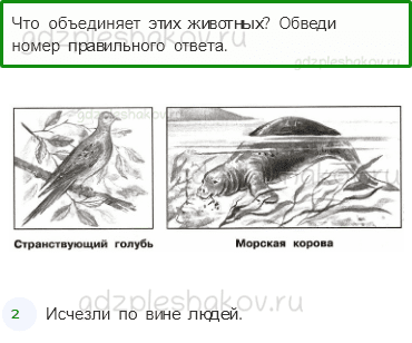 Проверочные работы – Как устроен мир (стр. 17) – Вариант 2 – 5 - 0