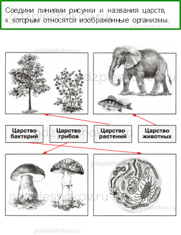 Проверочные работы – Как устроен мир (стр. 19) – Вариант 3 – 3 - 0