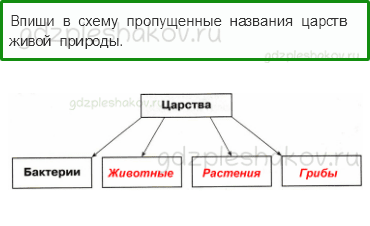 Проверочные работы – Как устроен мир (стр. 21) – Вариант 4 – 1 - 0