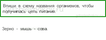 Проверочные работы – Эта удивительная природа (стр. 25) – Вариант 1 – 6 - 0