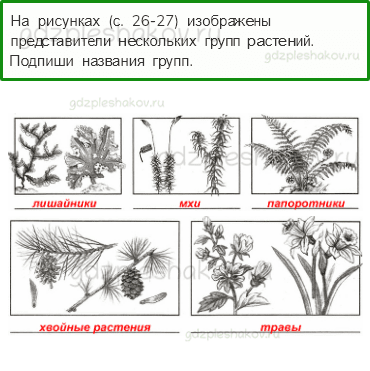 Проверочные работы – Эта удивительная природа (стр. 26) – Вариант 2 – 3 - 0