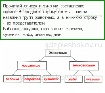 Проверочные работы – Эта удивительная природа (стр. 28) – Вариант 2 – 6 - 0