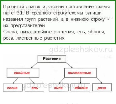 Проверочные работы – Эта удивительная природа (стр. 30) – Вариант 3 – 6 - 0