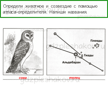 Проверочные работы – Эта удивительная природа (стр. 30) – Вариант 3 – 5 - 0
