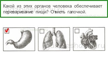Проверочные работы – Мы и наше здоровье (стр. 42) – Вариант 4 – 1 - 0