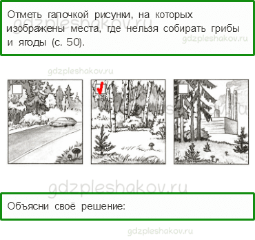 Проверочные работы – Наша безопасность (стр. 49) – Вариант 2 – 6 - 0