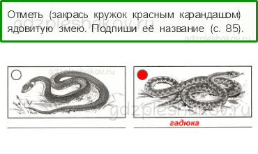 Проверочные работы – Итоговая проверочная работа за 3 класс (стр. 84) – Вариант 3 – 4 - 0