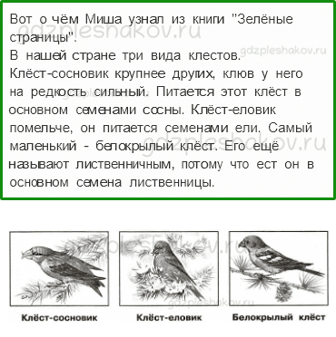 Проверочные работы – Итоговая проверочная работа за 3 класс (стр. 86) – Вариант 4 – 1 - 0