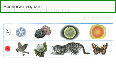 Тесты – Как устроен мир (стр. 3) – Природа – 2 - 0