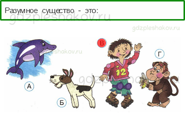 Тесты – Как устроен мир (стр. 4) – Человек – 6 - 0