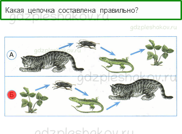 Тесты – Как устроен мир (стр. 7) – Что такое экология – 17 - 0