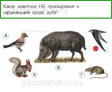 Тесты – Как устроен мир (стр. 8) – Что такое экология – 20 - 0