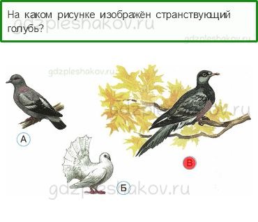 Тесты – Как устроен мир (стр. 8) – Природа в опасности! – 21 - 0