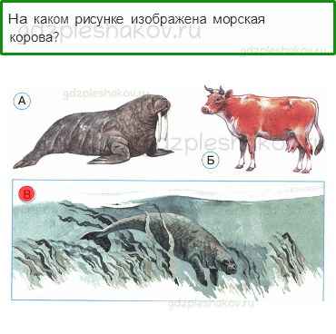 Тесты – Как устроен мир (стр. 9) – Природа в опасности! – 22 - 0