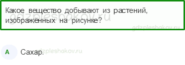 Тесты – Эта удивительная природа (стр. 12) – Разнообразие веществ – 33 - 0