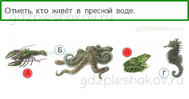 Тесты – Эта удивительная природа (стр. 15) – Вода – 43 - 0