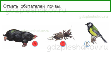 Тесты – Эта удивительная природа (стр. 19) – Что такое почва – 57 - 0