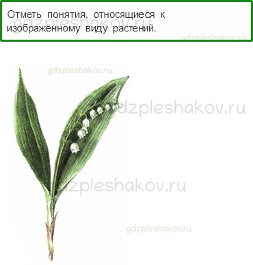 Тесты – Эта удивительная природа (стр. 21) – Разнообразие растений – 65 - 0