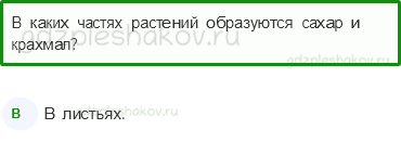 Тесты – Эта удивительная природа (стр. 22) – Солнце, растения и мы с вами – 67 - 0