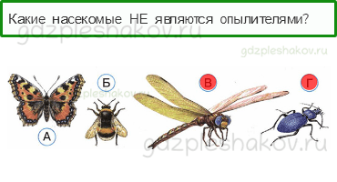 Тесты – Эта удивительная природа (стр. 23) – Размножение и развитие растений – 72 - 0