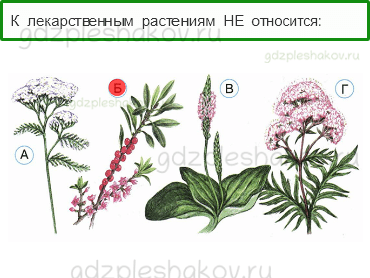 Тесты – Эта удивительная природа (стр. 25) – Охрана растений – 77 - 0