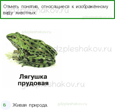 Тесты – Эта удивительная природа (стр. 27) – Разнообразие животных – 84 - 0