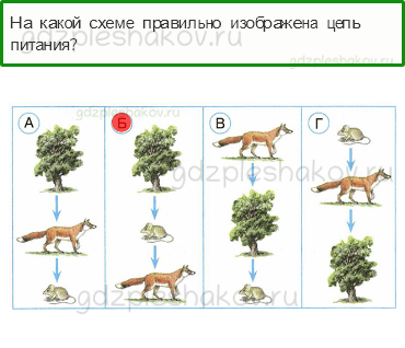 Тесты – Эта удивительная природа (стр. 28) – Кто что ест – 89 - 0