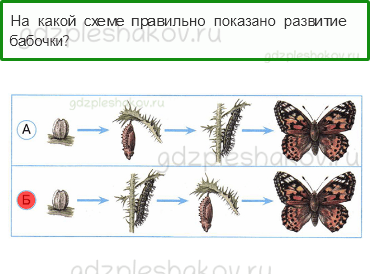 Тесты – Эта удивительная природа (стр. 29) – Размножение и развитие животных – 91 - 0