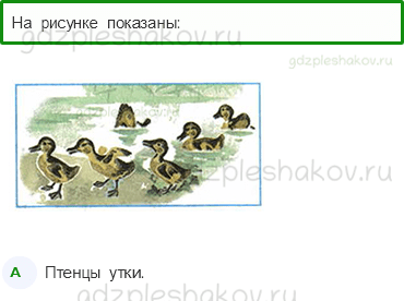 Тесты – Эта удивительная природа (стр. 30) – Размножение и развитие животных – 94 - 0
