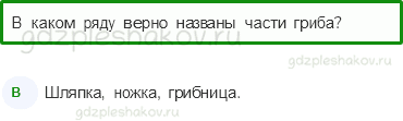 Тесты – Эта удивительная природа (стр. 32) – В царстве грибов – 101 - 0