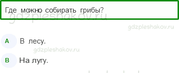Тесты – Эта удивительная природа (стр. 33) – В царстве грибов – 105 - 0
