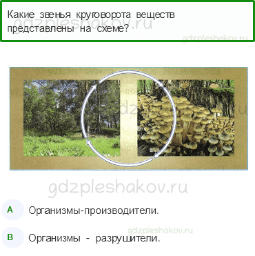 Тесты – Эта удивительная природа (стр. 34) – Великий круговорот жизни – 110 - 0