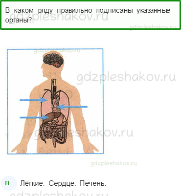 Тесты – Мы и наше здоровье (стр. 35) – Организм человека – 112 - 0
