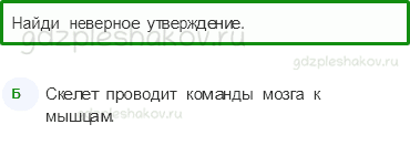 Тесты – Мы и наше здоровье (стр. 39) – Опора тела и движение – 128 - 0