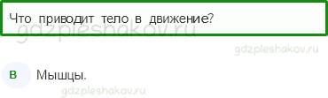 Тесты – Мы и наше здоровье (стр. 40) – Опора тела и движение – 129 - 0
