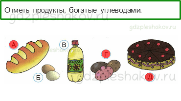 Тесты – Мы и наше здоровье (стр. 40) – Наше питание – 132 - 0