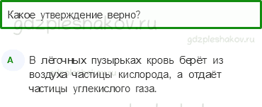 Тесты – Мы и наше здоровье (стр. 42) – Дыхание и кровообращение – 137 - 0