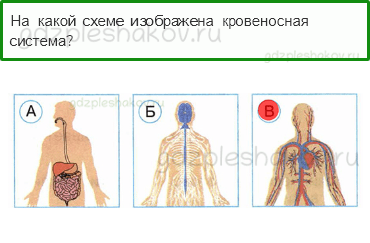 Тесты – Мы и наше здоровье (стр. 42) – Дыхание и кровообращение – 138 - 0