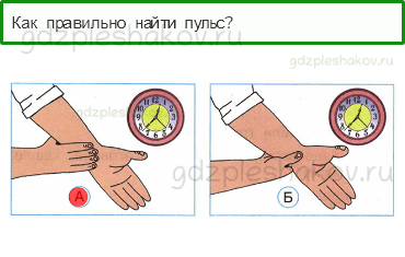 Тесты – Мы и наше здоровье (стр. 43) – Дыхание и кровообращение – 140 - 0