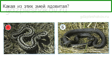 Тесты – Наша безопасность (стр. 52) – Природа и наша безопасность – 173 - 0