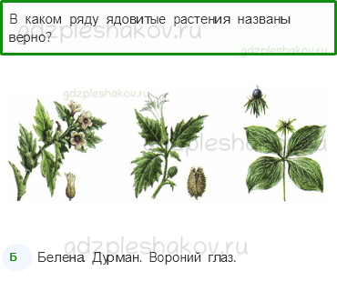 Тесты – Наша безопасность (стр. 52) – Природа и наша безопасность – 172 - 0