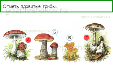 Тесты – Наша безопасность (стр. 53) – Природа и наша безопасность – 174 - 0