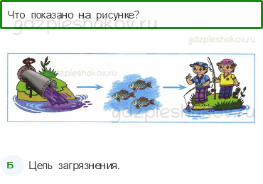 Тесты – Наша безопасность (стр. 53) – Экологическая безопасность – 176 - 0