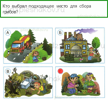 Тесты – Наша безопасность (стр. 54) – Экологическая безопасность – 178 - 0