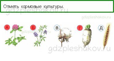 Тесты – Чему учит экономика (стр. 61) – Растениеводство – 199 - 0