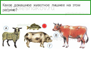 Тесты – Чему учит экономика (стр. 61) – Животноводство – 202 - 0