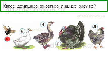 Тесты – Чему учит экономика (стр. 62) – Животноводство – 203 - 0