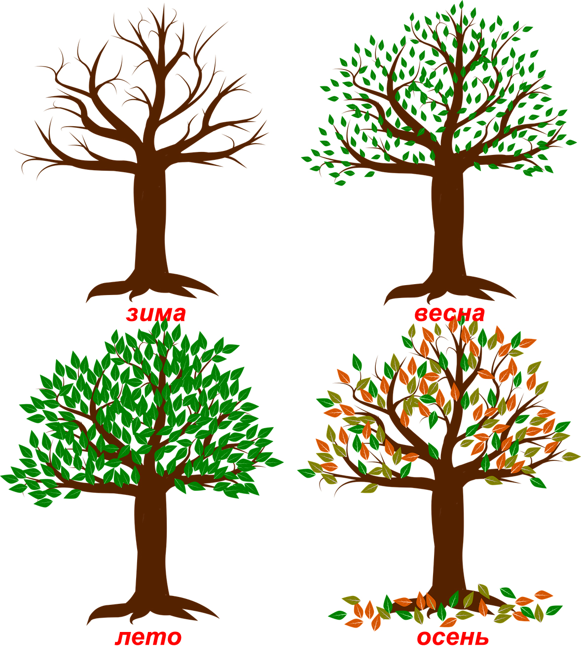 Дерево времени. Дерево по сезонам. Дерево зимой летом осенью и весной. Дерево в разные времена года. Дерево зима Весна лето осень.